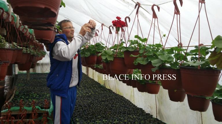 89467837_231053341363793_4623172431719170048_n