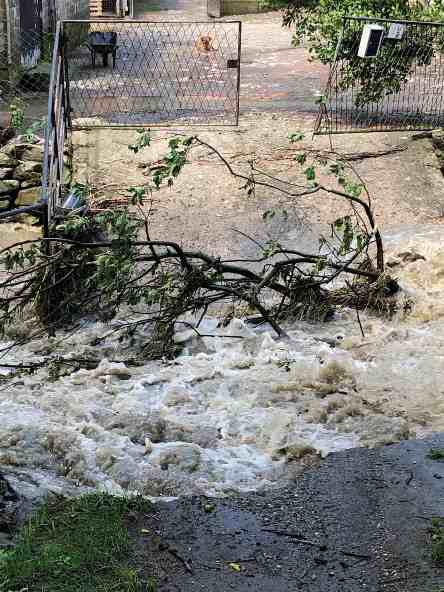 IMG-5d58310774633142fb369252ca936501-V