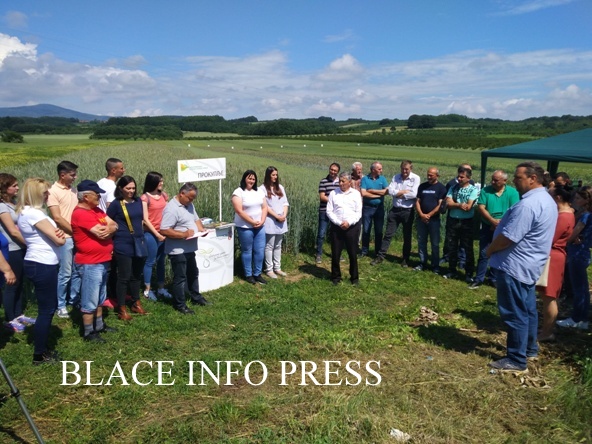 IMG_20200609_101238 (1)