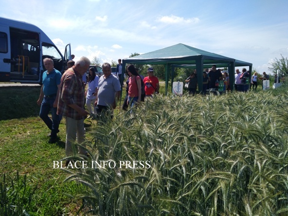 IMG_20200609_101808 (1)