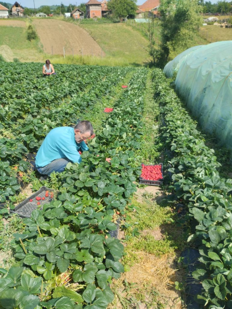 285070176_1073042086927097_2395278235534244133_n