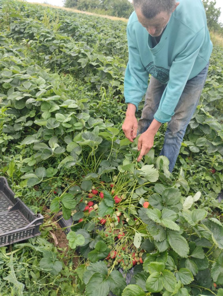 285599653_1058831248061339_7551048796709692172_n