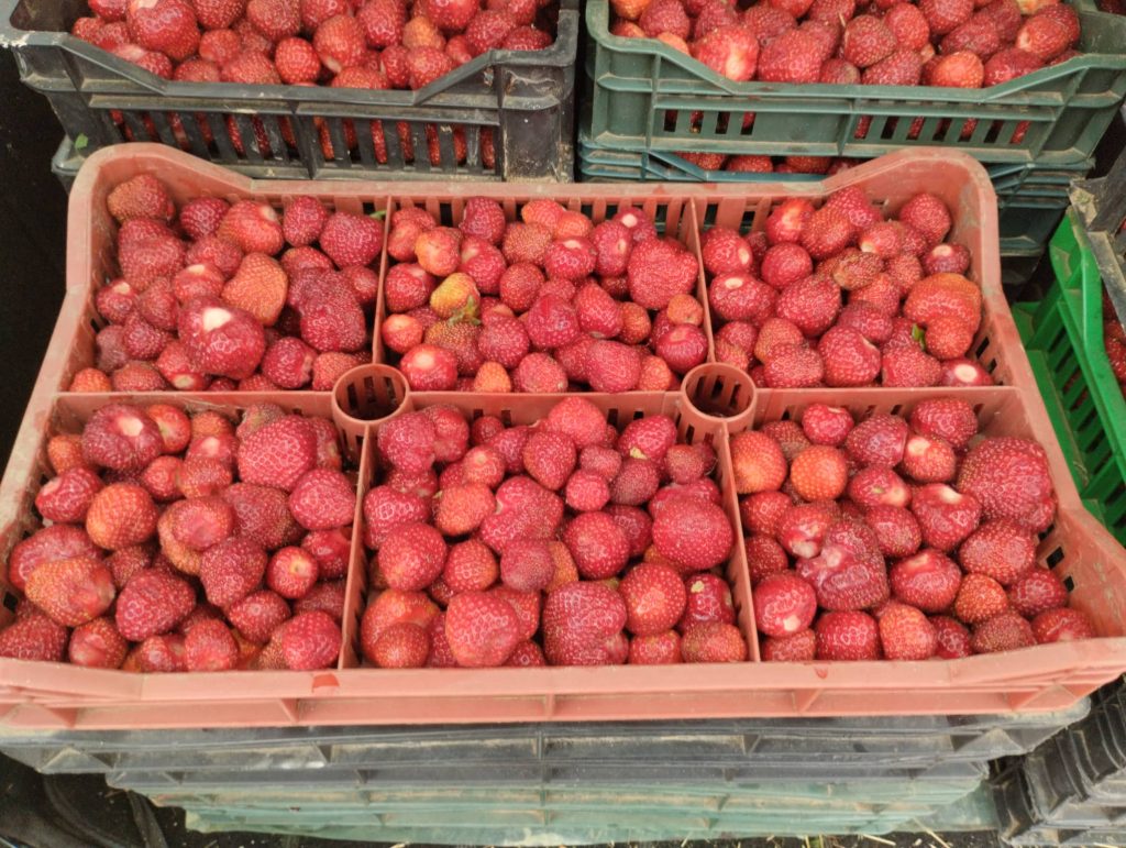 285721206_702755994121784_3362670626831731894_n