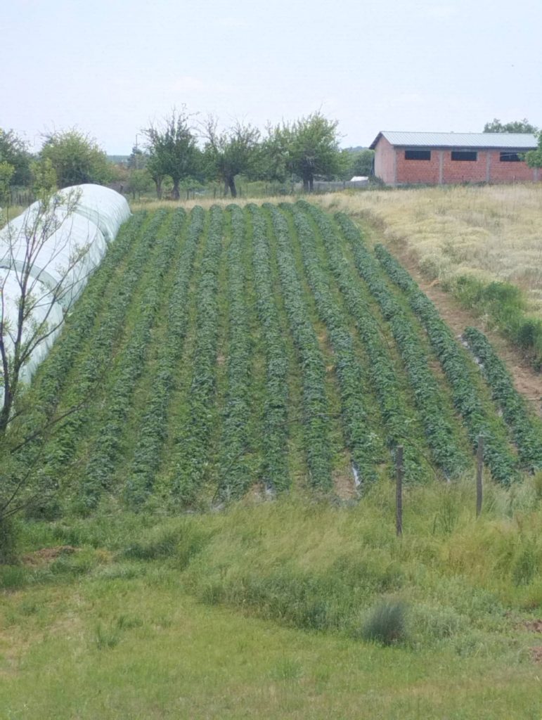 285813036_709693626936475_4886236886444466821_n