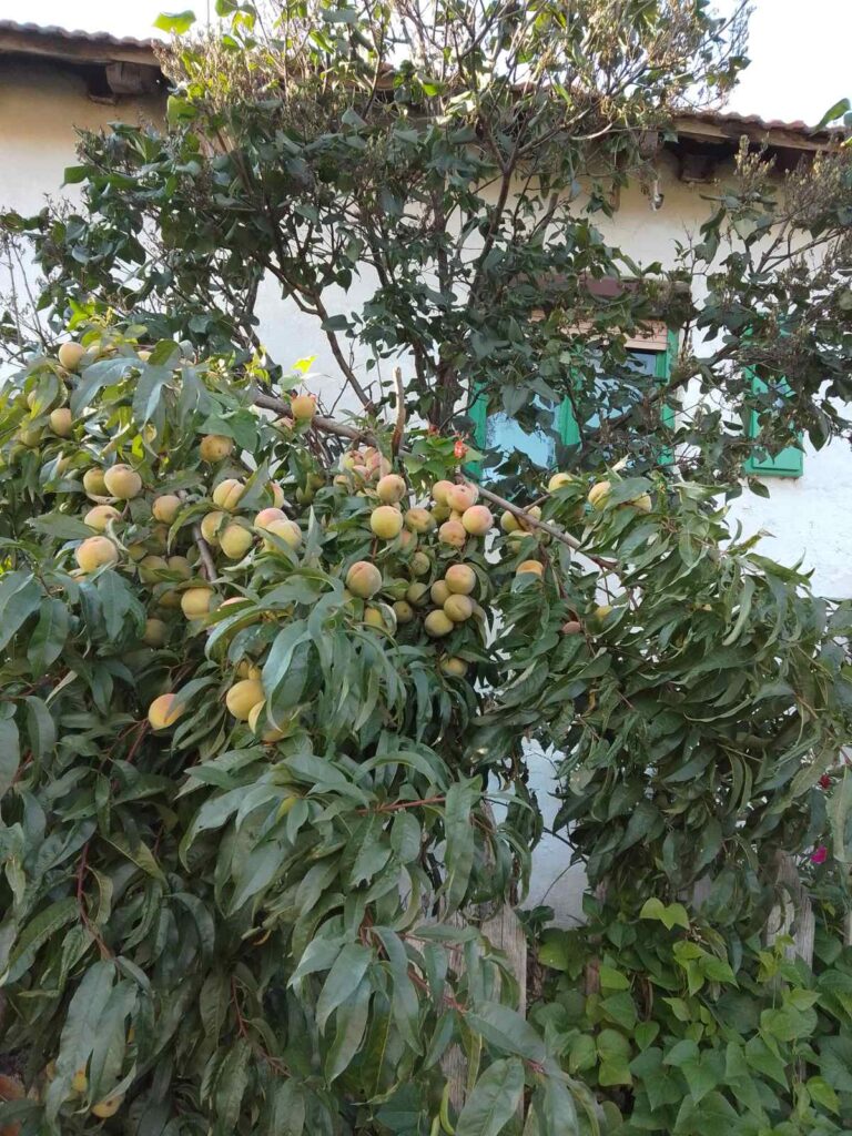 viber_image_2022-09-23_17-19-00-197