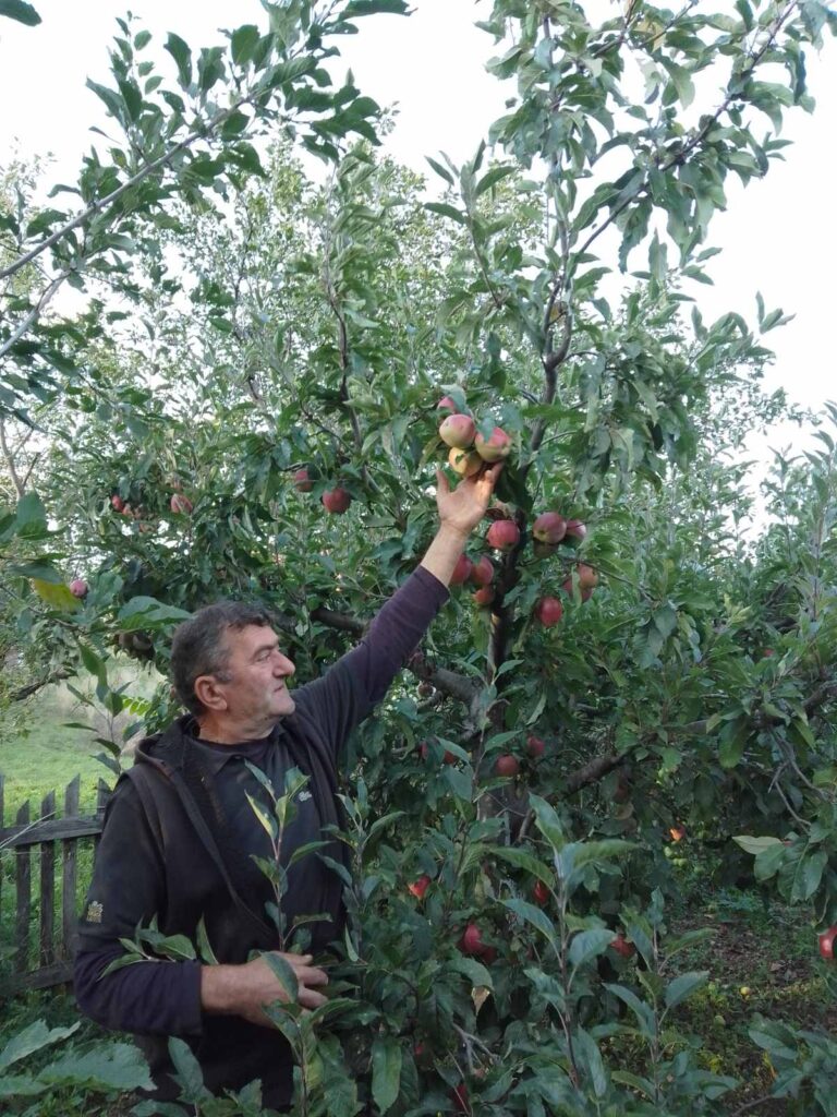 viber_image_2022-09-23_17-19-00-560