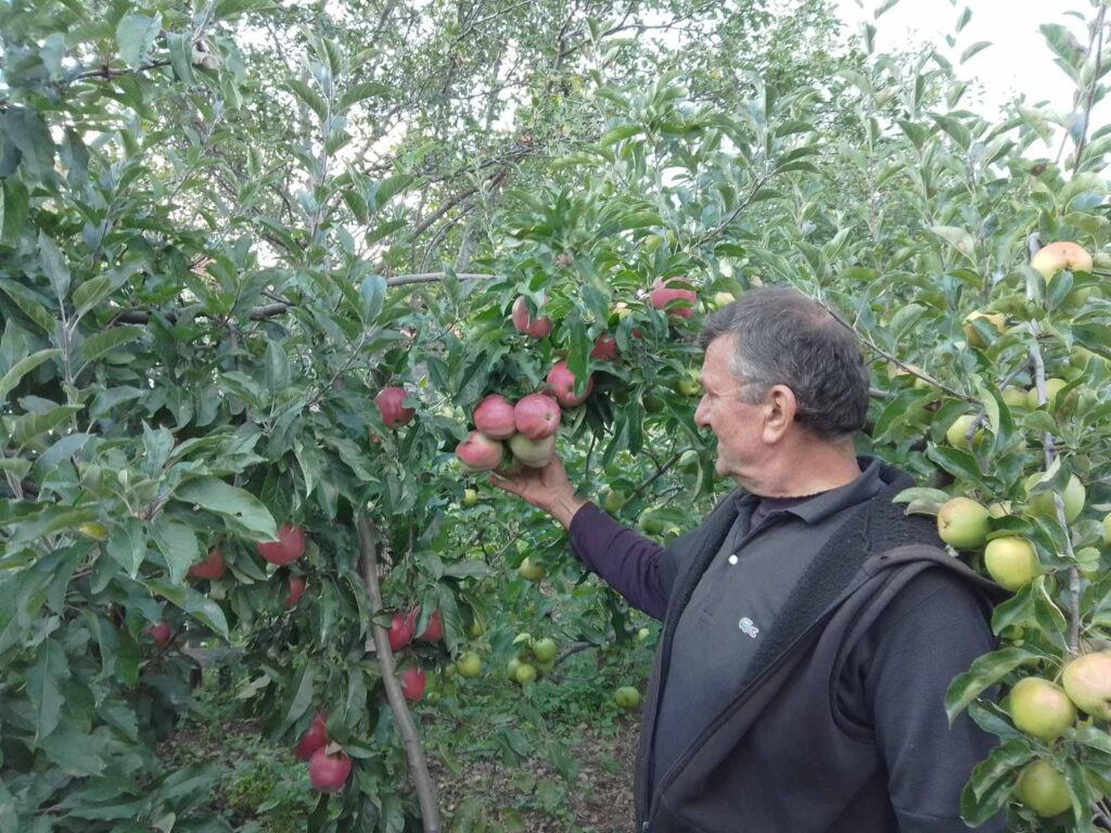 viber_image_2022-09-23_17-19-00-843