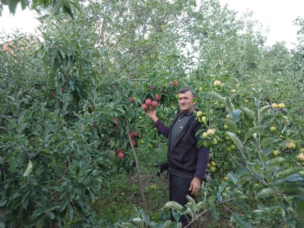 viber_image_2022-09-23_17-19-01-506