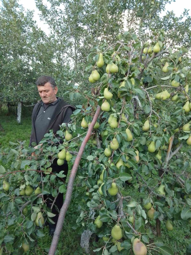 viber_image_2022-09-23_17-19-01-836