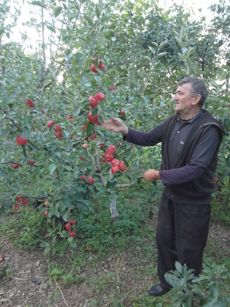 viber_image_2022-09-23_17-19-02-319