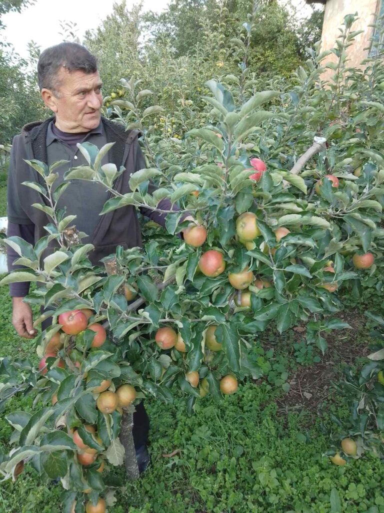 viber_image_2022-09-23_17-19-02-477