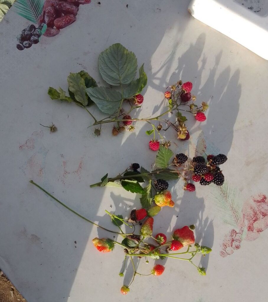 viber_image_2022-11-04_14-59-14-790