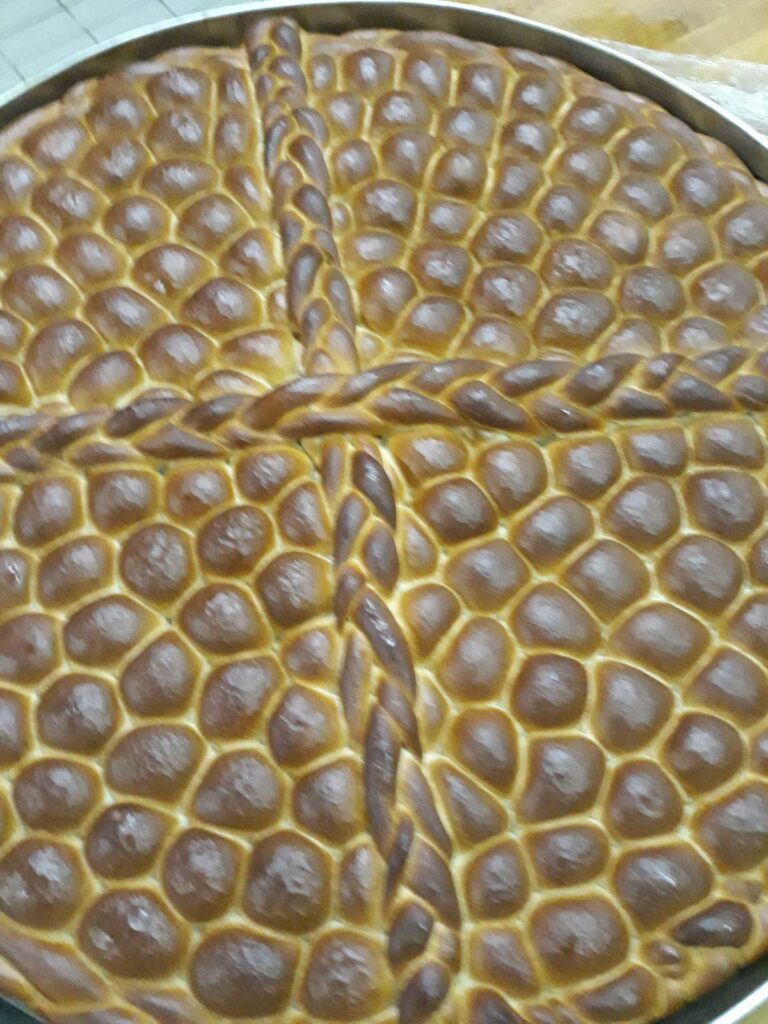 323197214_8793475510692391_4378035443337481624_n