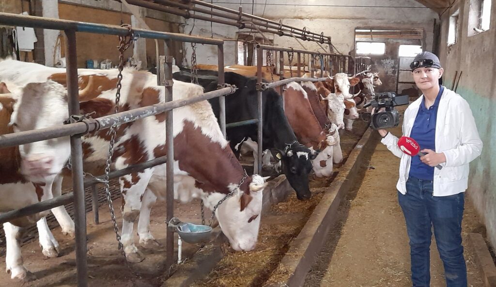 323423992_618700350016098_2024146878924895984_n