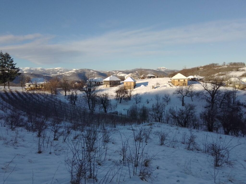 viber_image_2023-01-22_08-50-06-673