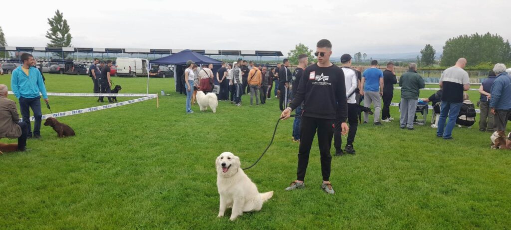 349209683_944785173456120_1568465620936946049_n