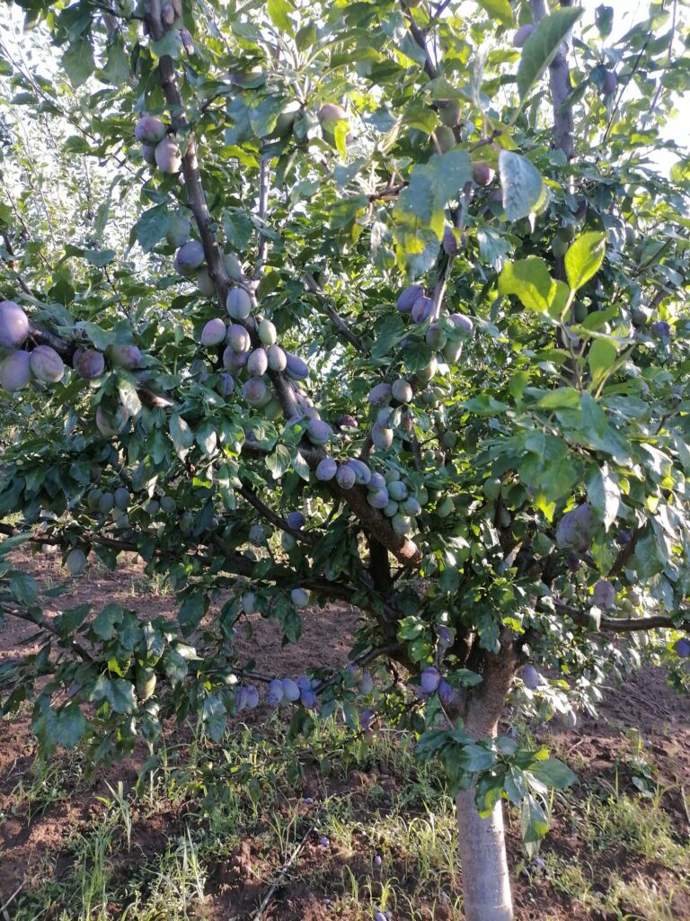 363781420_1059887931649624_8525573719375521334_n