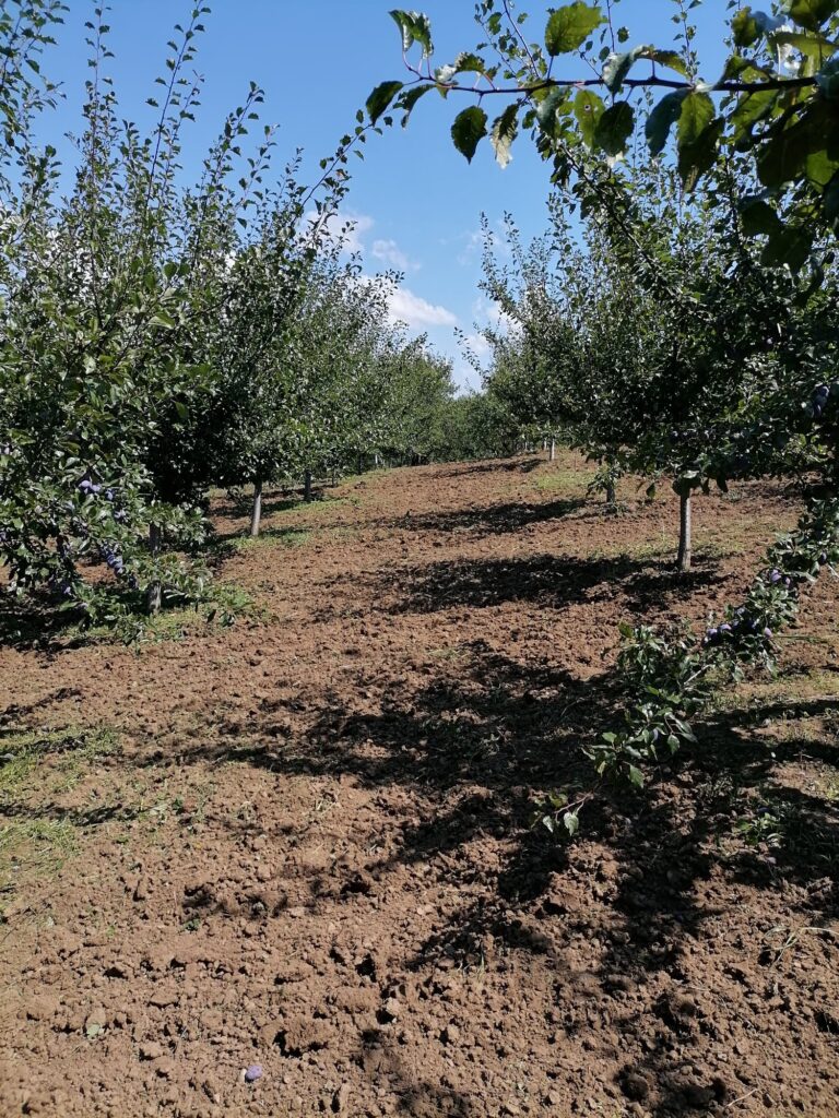 364064984_308381531676048_4280736017926498546_n