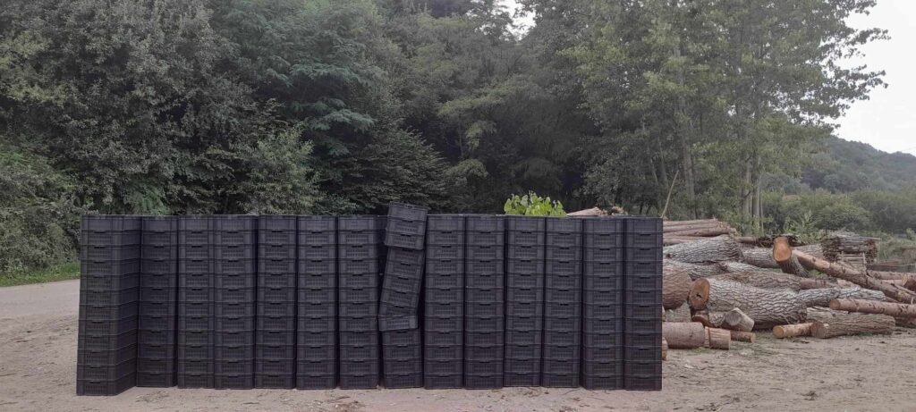 364482026_988164965563779_7228380044056959342_n