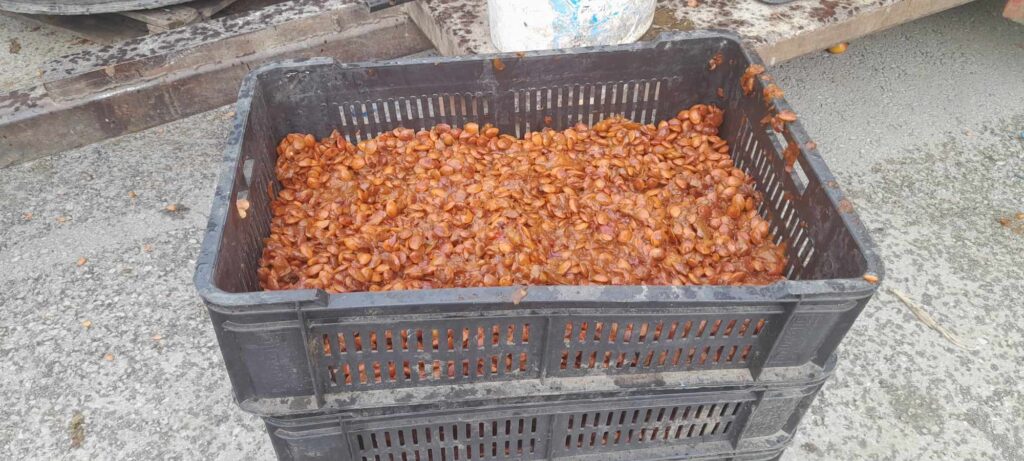 364518452_237662422566315_1193444060415116590_n