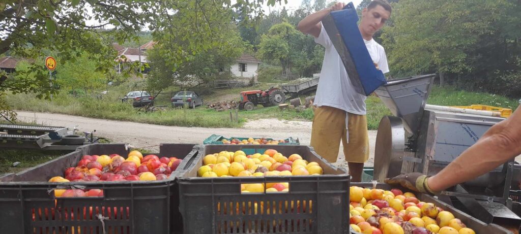 364535201_954057385884161_4127587772812156701_n