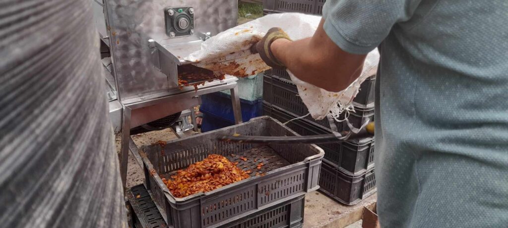 364535458_1240056993367334_6647104812685082823_n