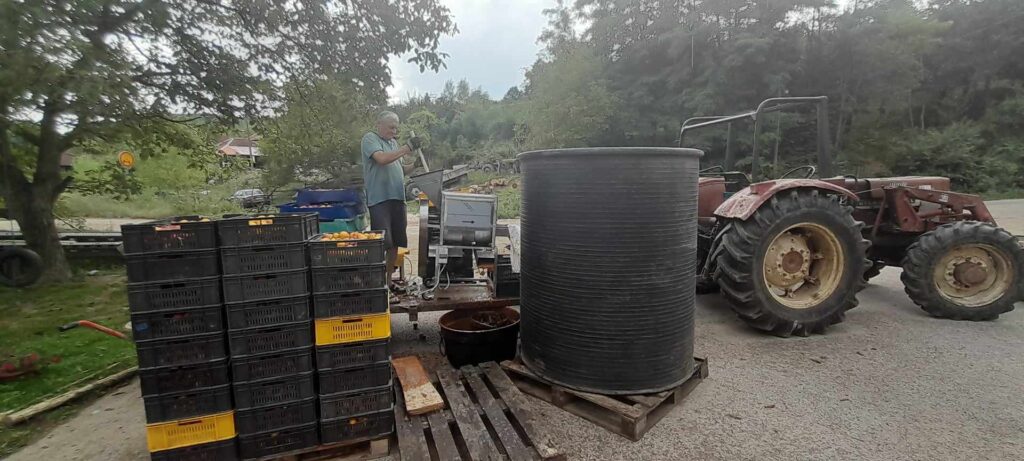 364535682_317335744048155_1833103282239636716_n