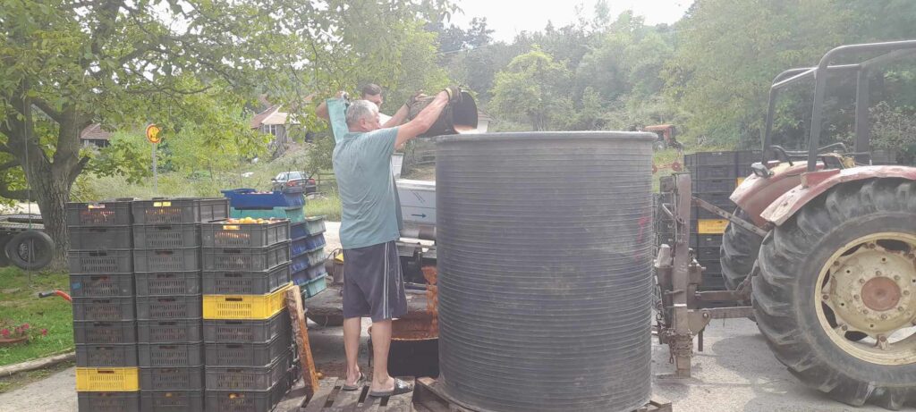 364535732_829192991782710_2891006971160805155_n