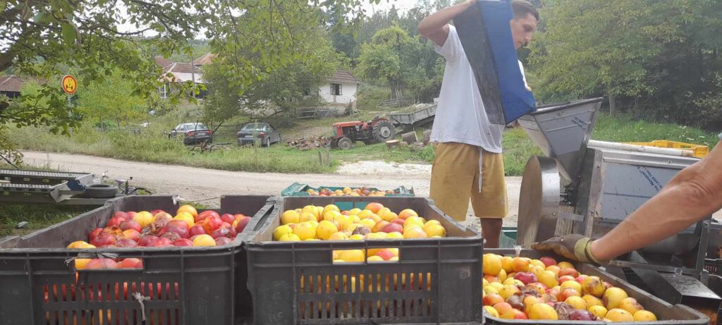 364536148_202874789146079_8267744757007098764_n