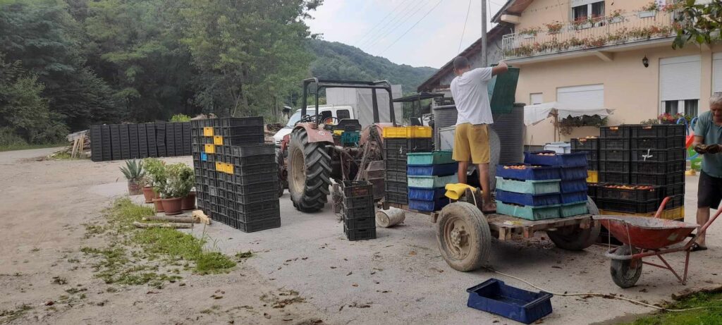 364536574_1003762350773664_5801162563756241753_n