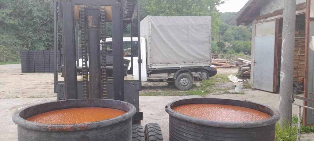 364536864_828959702204881_355027800346993612_n