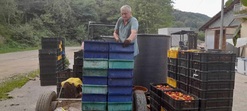 364537773_292199006822323_3247231501633600719_n