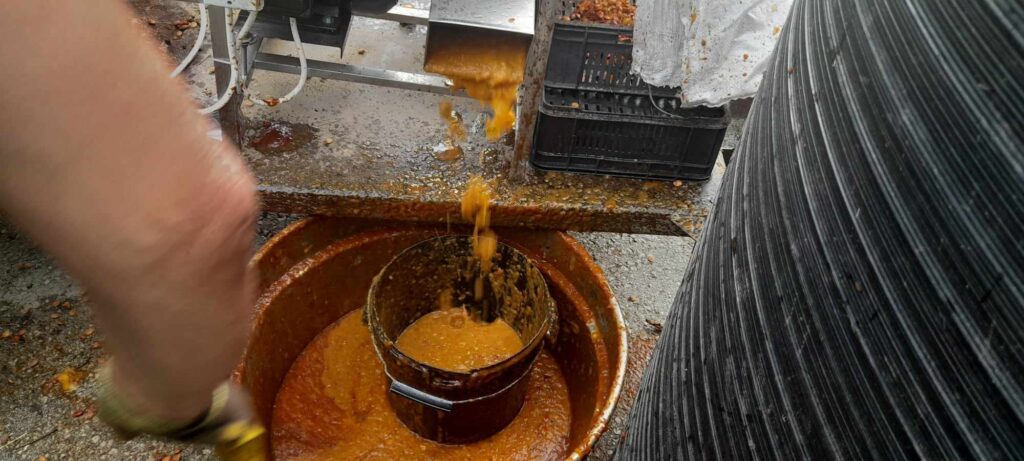 364538380_804438171378052_1916360050660958996_n