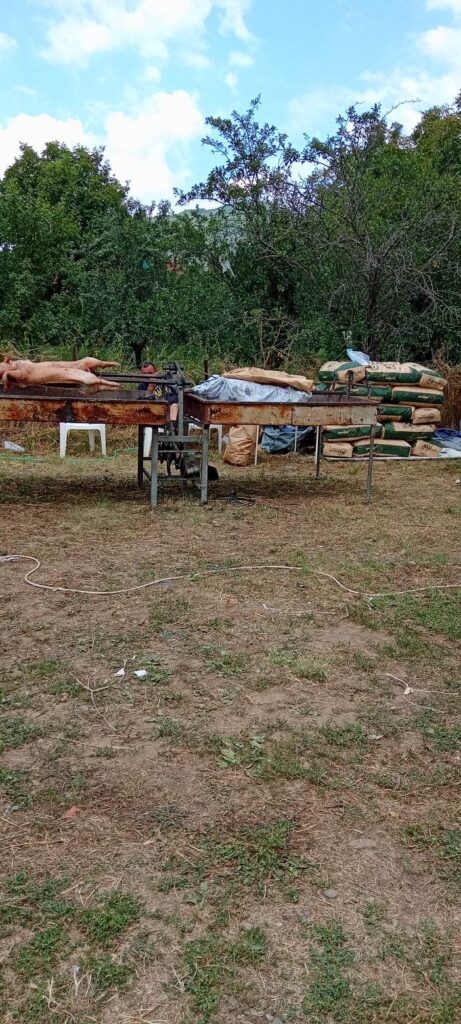 364550061_195604213496654_1006624202091618816_n