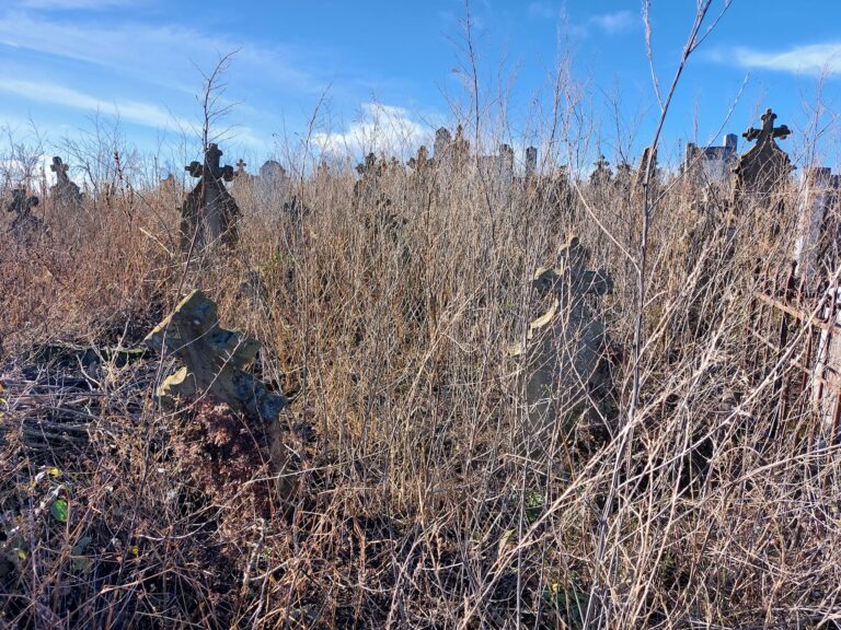 409751769_10228264017884040_3835041607910948327_n-768x576