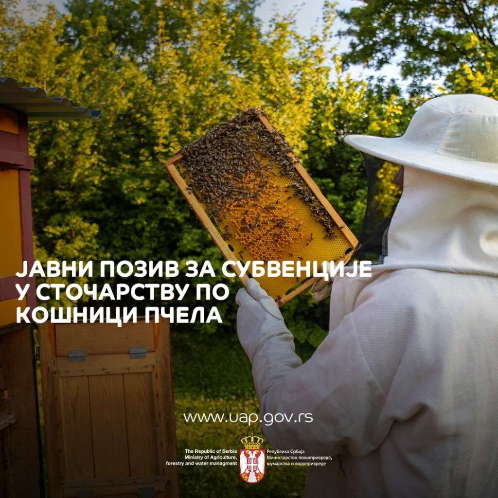 0-02-05-6998baea2086f1d6b8f730420f194abbae7f2dcc8d2ac523a4b71704053c94b5_54e3e8af338363b7