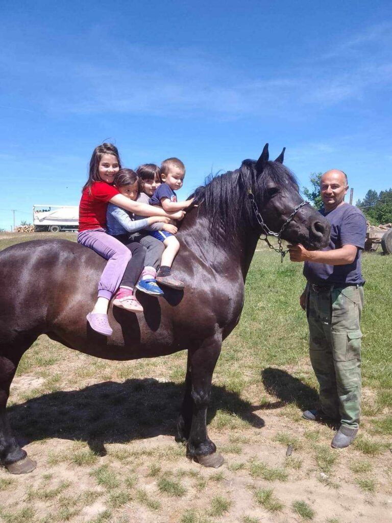 81ec9dbd-67cc-4a93-adc6-faa44fa275b9