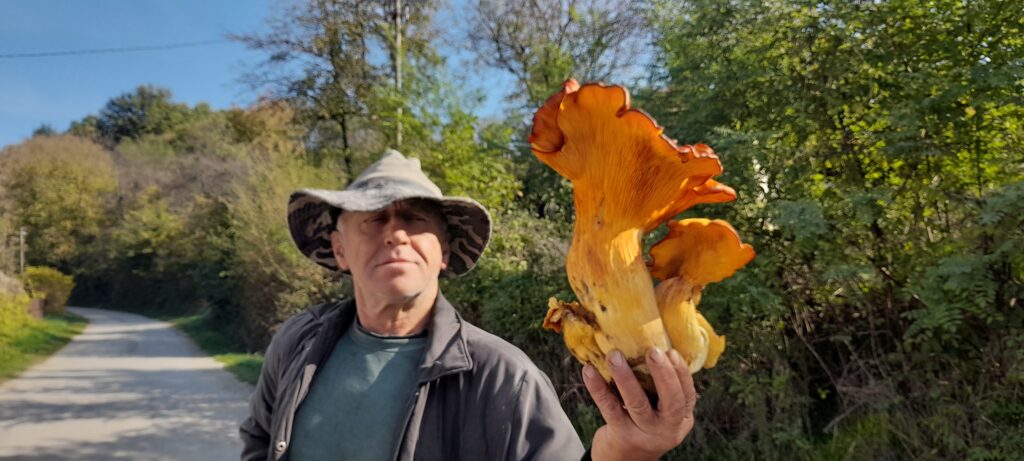 20241019_102458