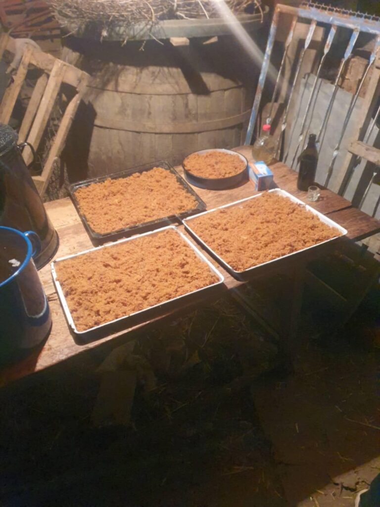 51989fee-e5af-402d-9481-09354e44f589