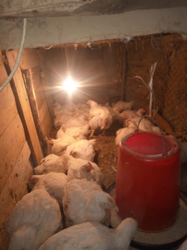 82293bba-caef-4c3d-9e91-9b683190b2ab