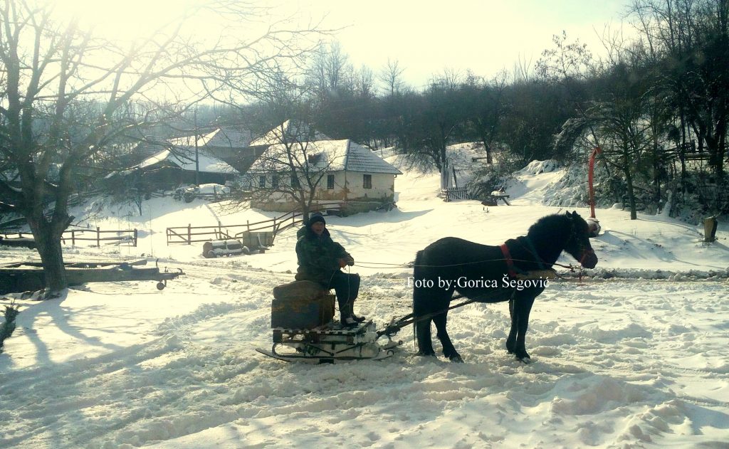 IMG_20220113_112729-1024x631