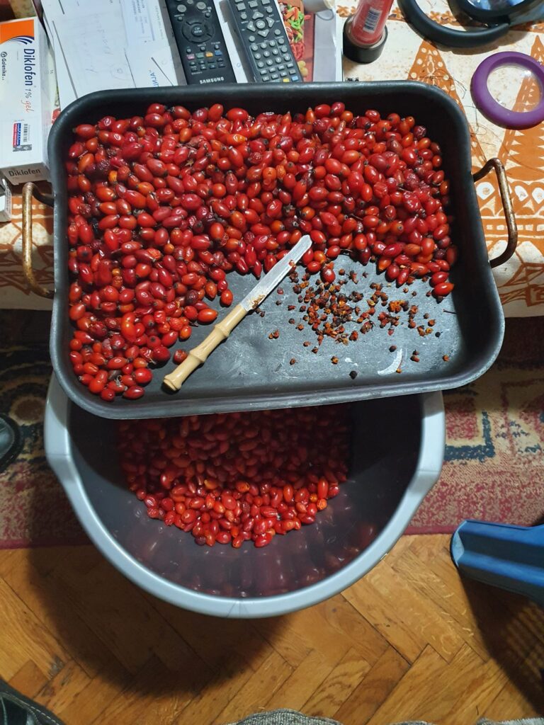 273013309_497996915292555_6577316752012809560_n-768x1024