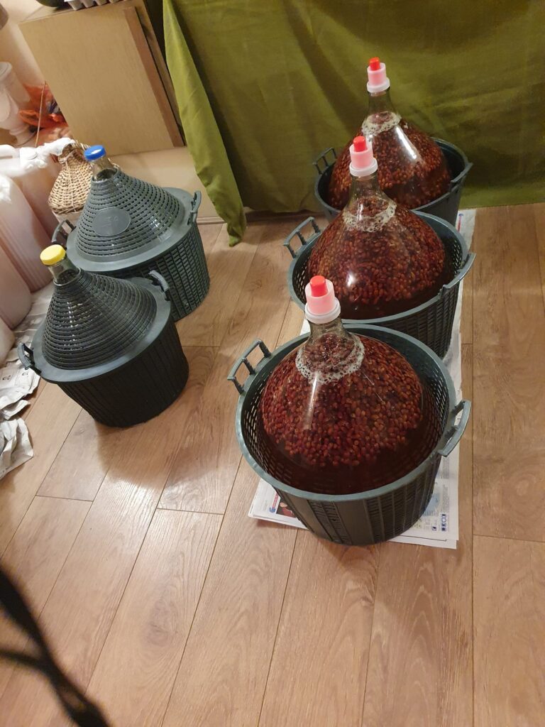 275292038_519081539850759_2413324822443276800_n-768x1024