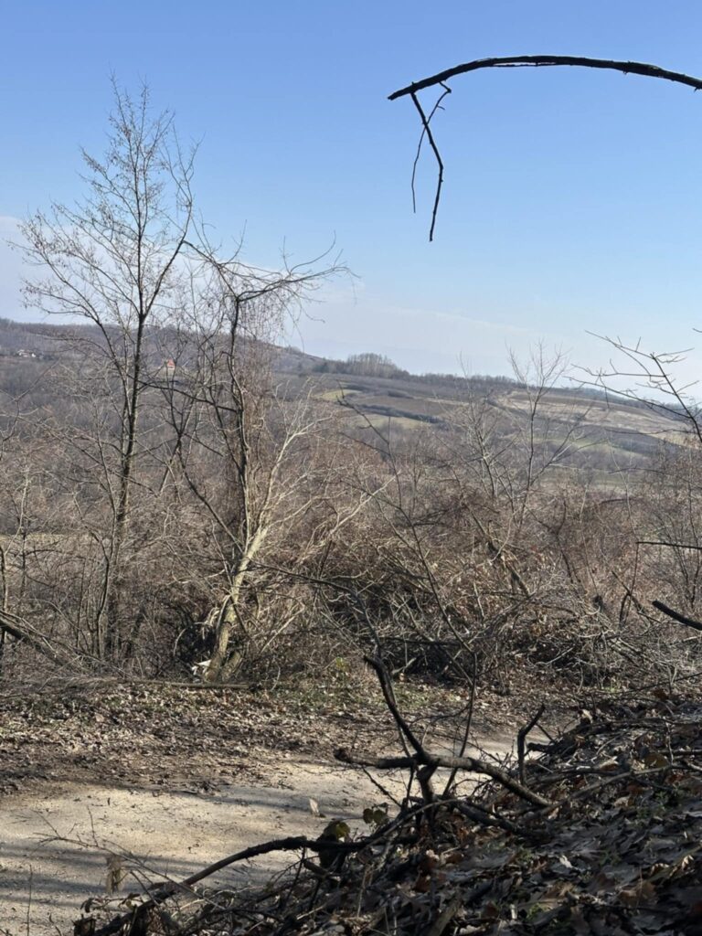 2ce20265-424d-48b4-be96-4e2e36ae800d