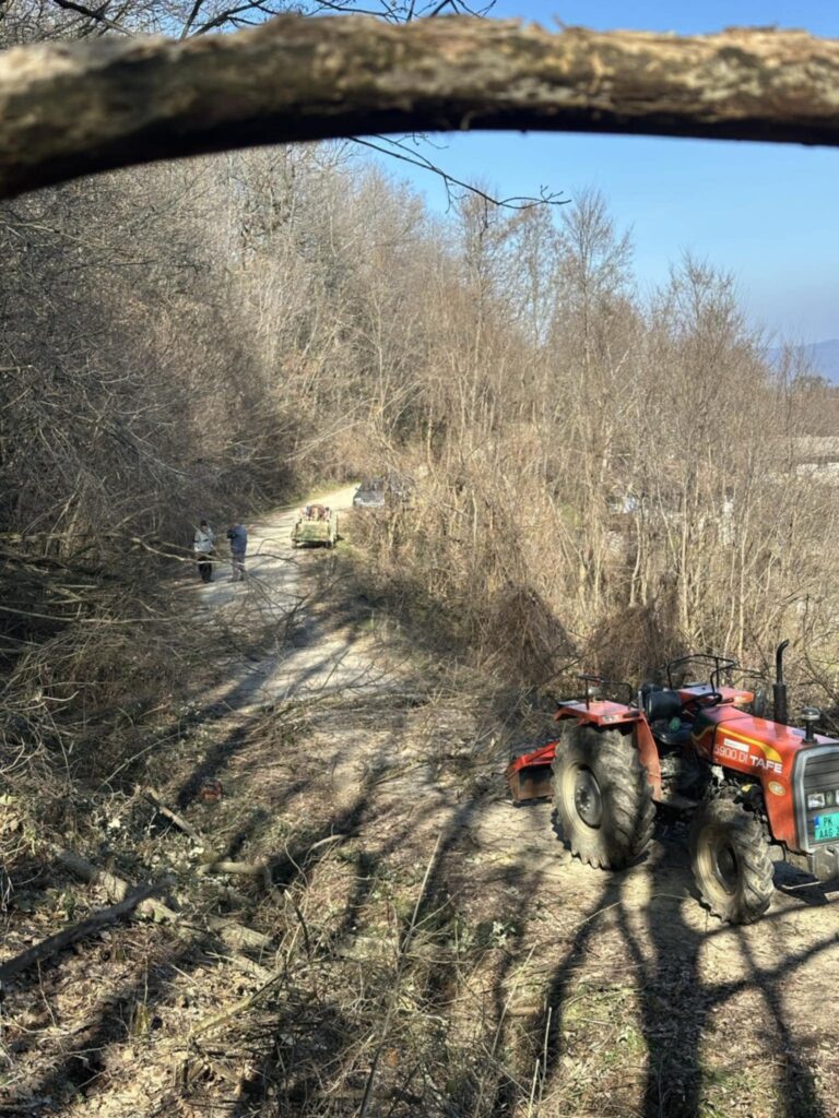 52558604-544a-474a-9893-d3d2b6bf4d34