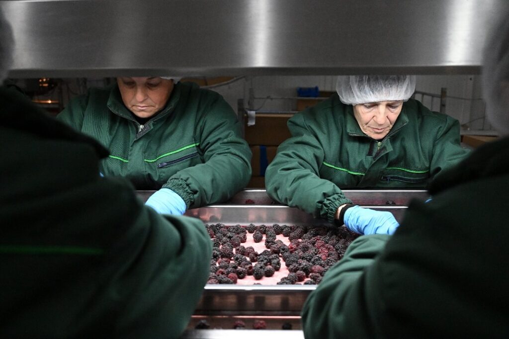 485755252_18157100539357103_3445424116567463908_n