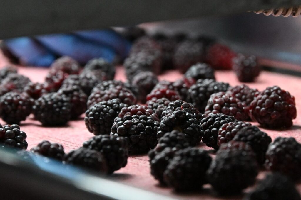 486235621_18157100536357103_8554803807016103209_n