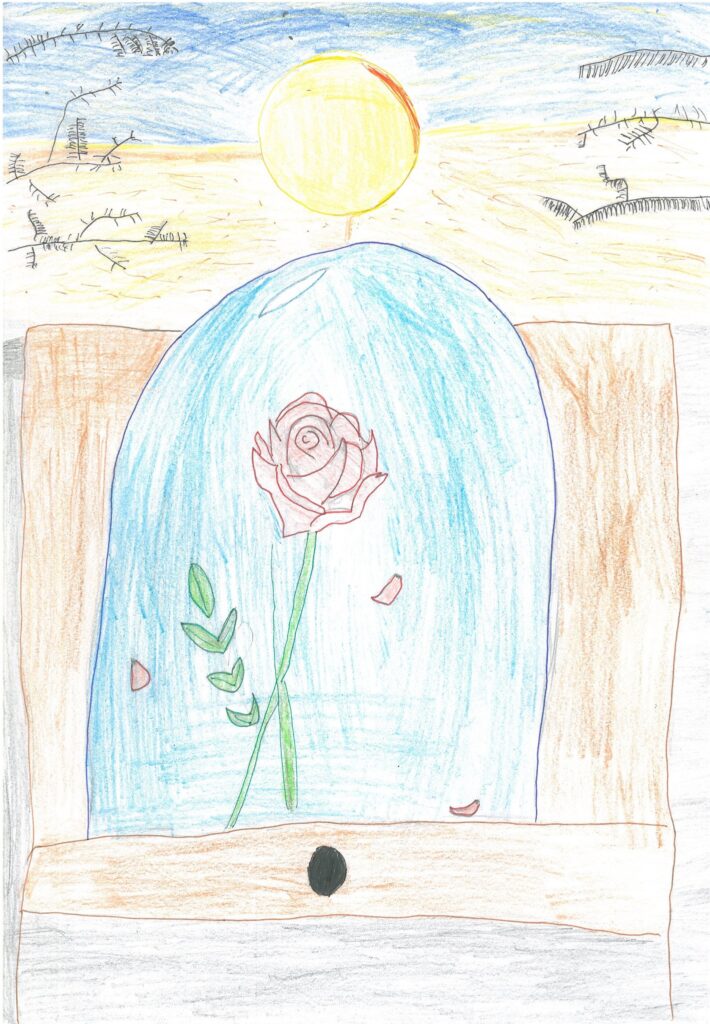 486601308_1161928632386001_7913973036595331402_n