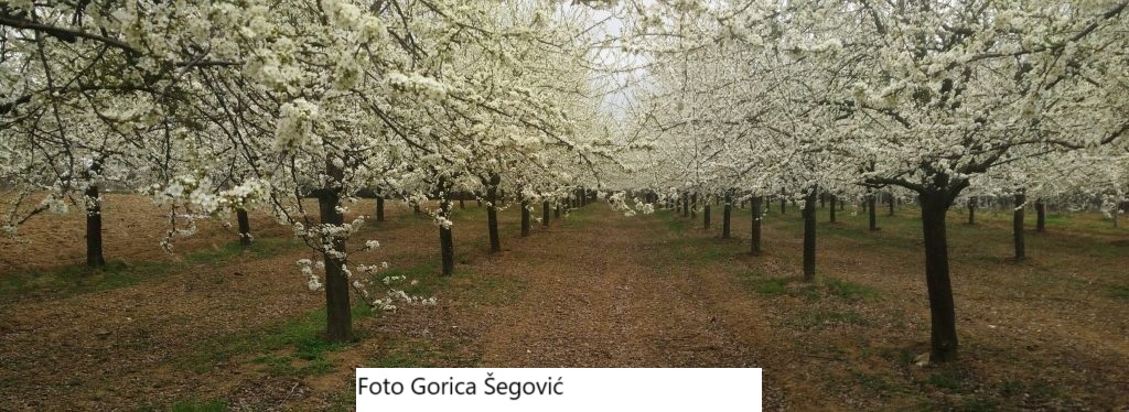 IMG_20220407_154806-1024x374