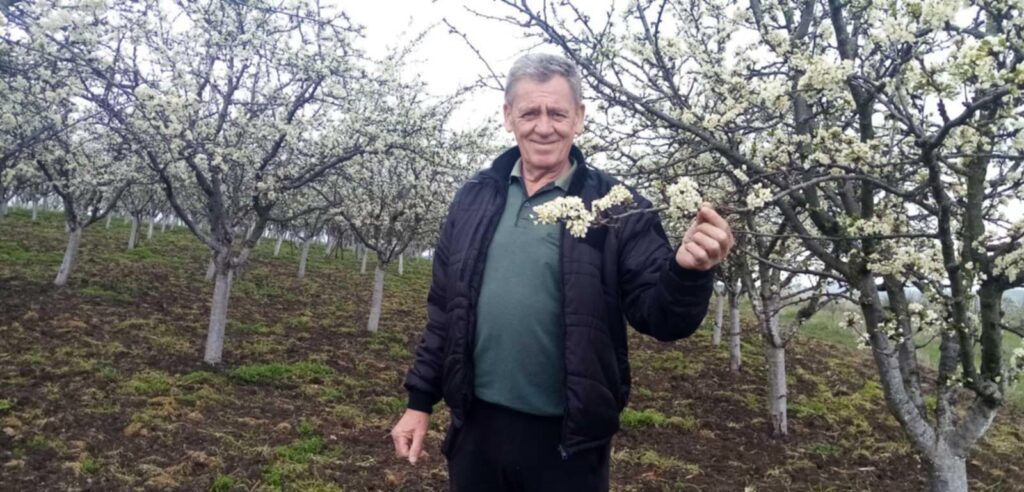 16a75356-4496-415b-9a54-44be4d814456